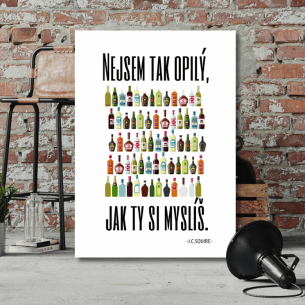 Nejsem tak opilý, jak ty si myslíš 1